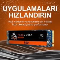 SEAGATE 250GB 2280-S2 PCIE GEN3×4 NVME M.2 3200/1300MB ZP250GM3A001 SSD - 1
